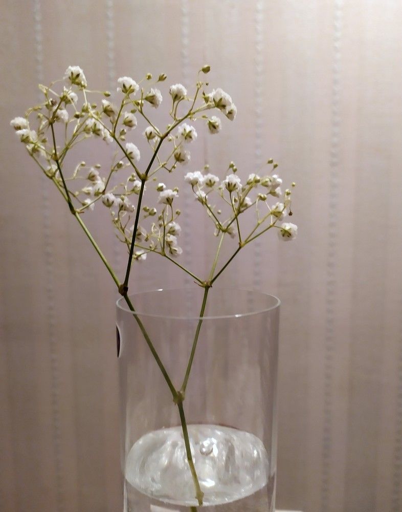 Photograph by Людмила Муравьева