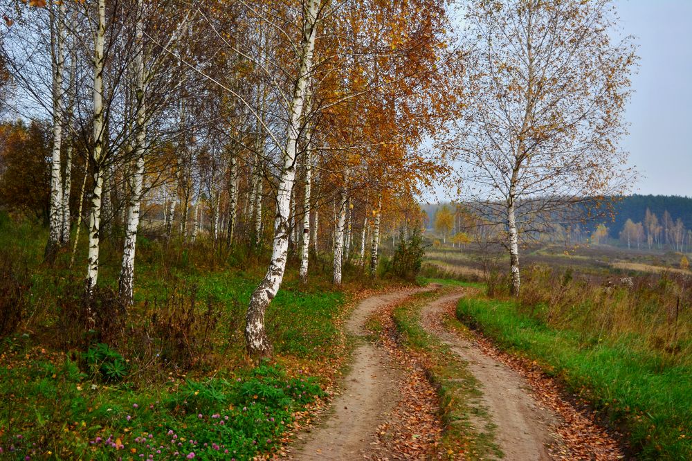 Photograph by Onyx X