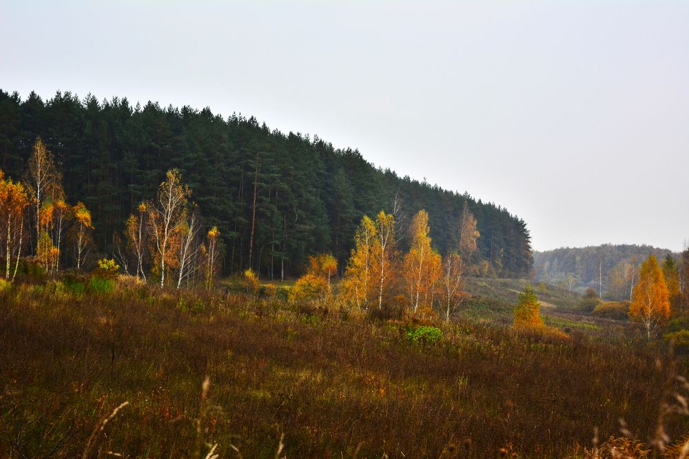 Photograph by Onyx X