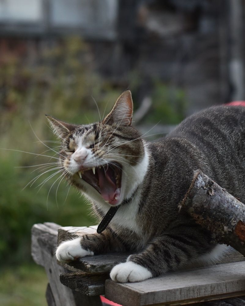 Photograph by Татьяна Юдина