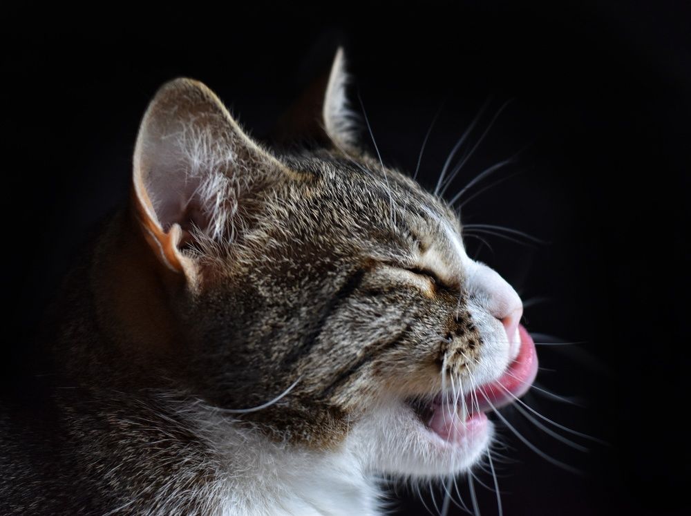 Photograph by Татьяна Юдина