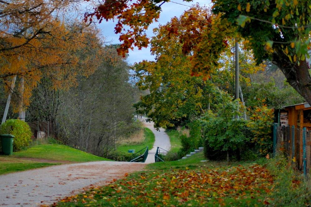 Фотография автора Евгений Филимонов