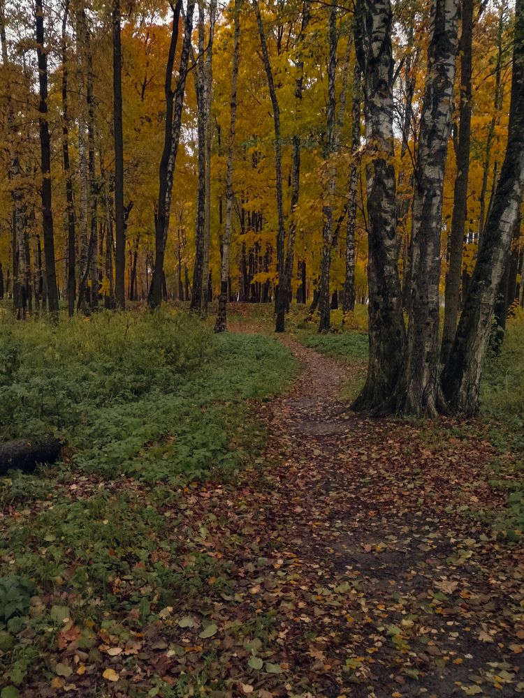 Photograph by Валерия Марцинковская