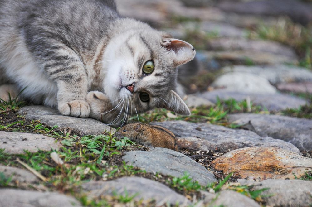 Photograph by Анастасия Григорян