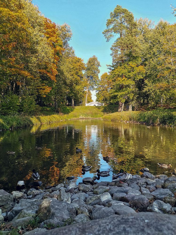 Photograph by Валерия Марцинковская