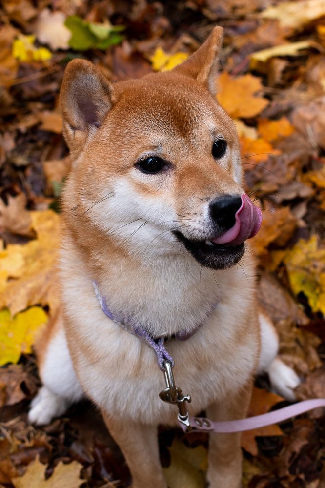 Photograph by Евгения Горшкова