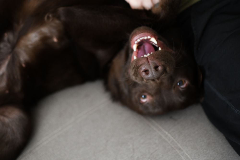 Photograph by Евгения Горшкова