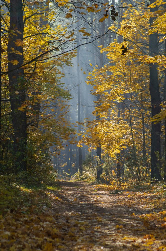 Photograph by Елена Кошелева