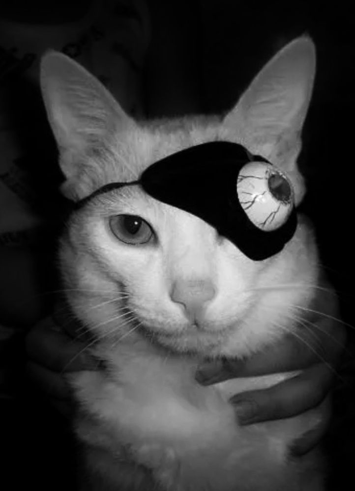 Фотография автора НАТАЛЬЯ СЕВЕР