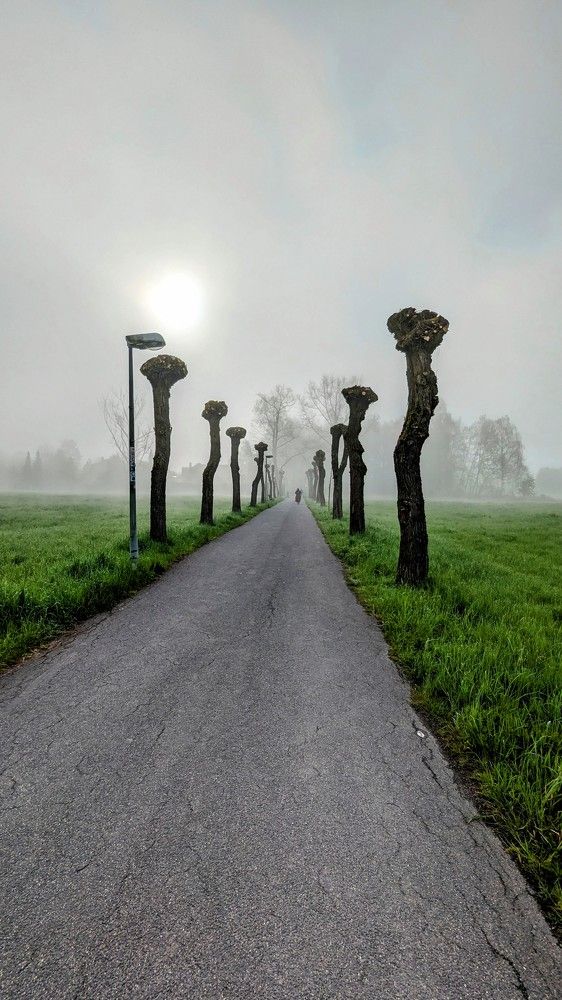 Photograph by Anastasiia