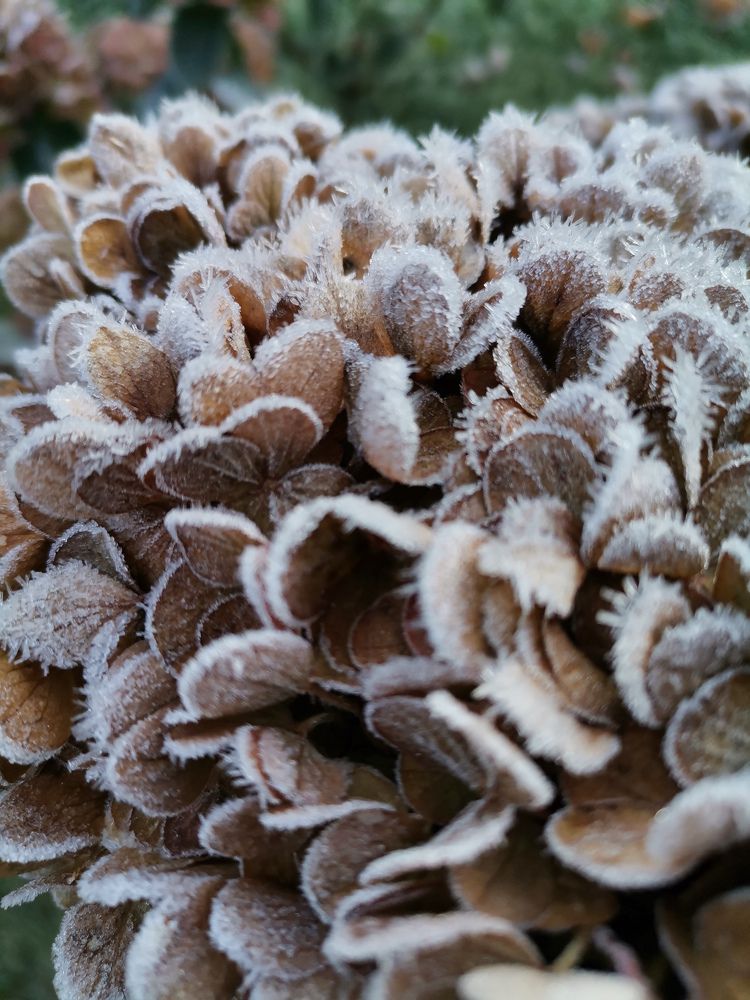 Photograph by Валерия Марцинковская