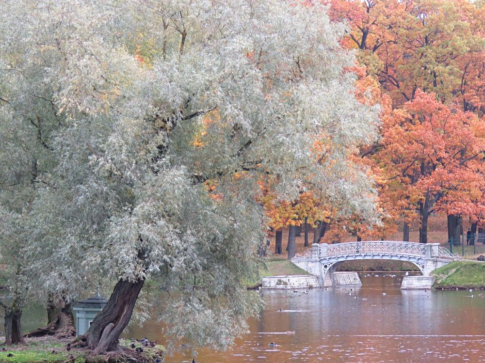 Photograph by Галина Пименова