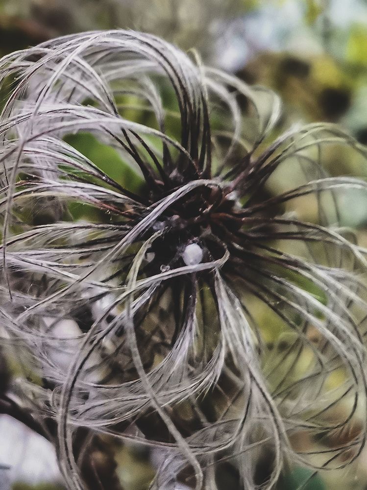 Photograph by Валерия Марцинковская