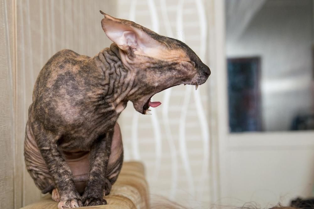 Photograph by Юрий Яковлевич