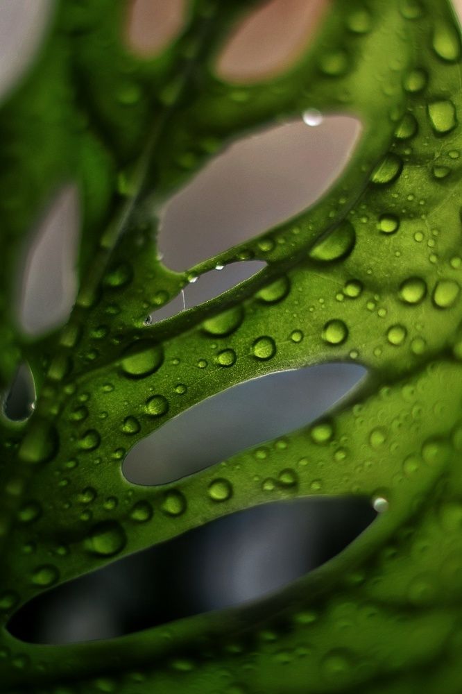 Photograph by Евгения Горшкова