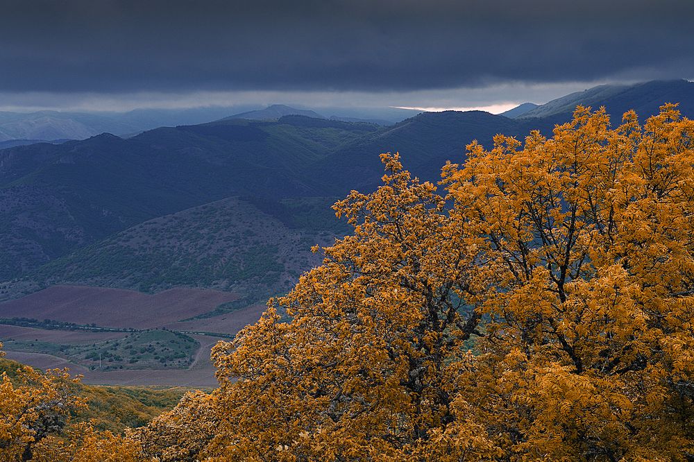 Photograph by Евгений Гонтов