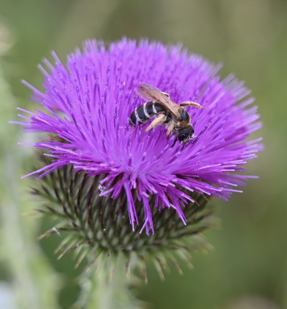 Photograph by Наталья Маркова