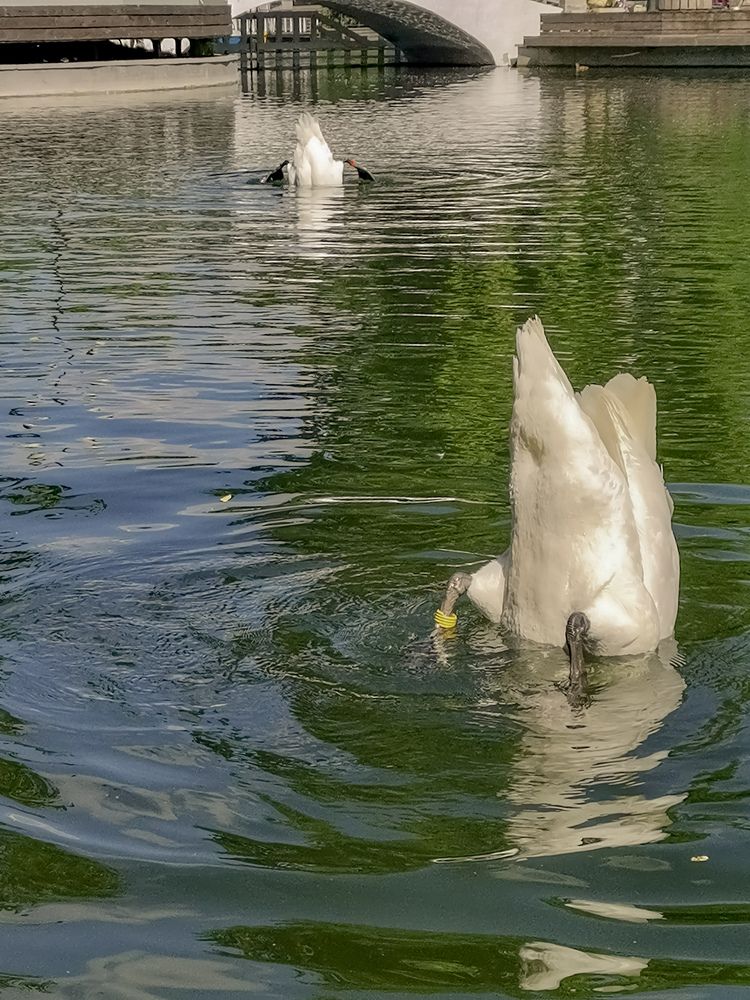Photograph by Валерия Марцинковская