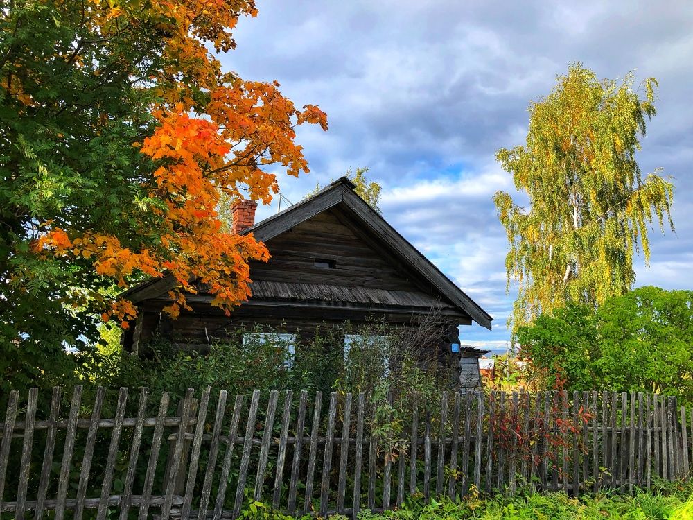 Photograph by Елена Шведова