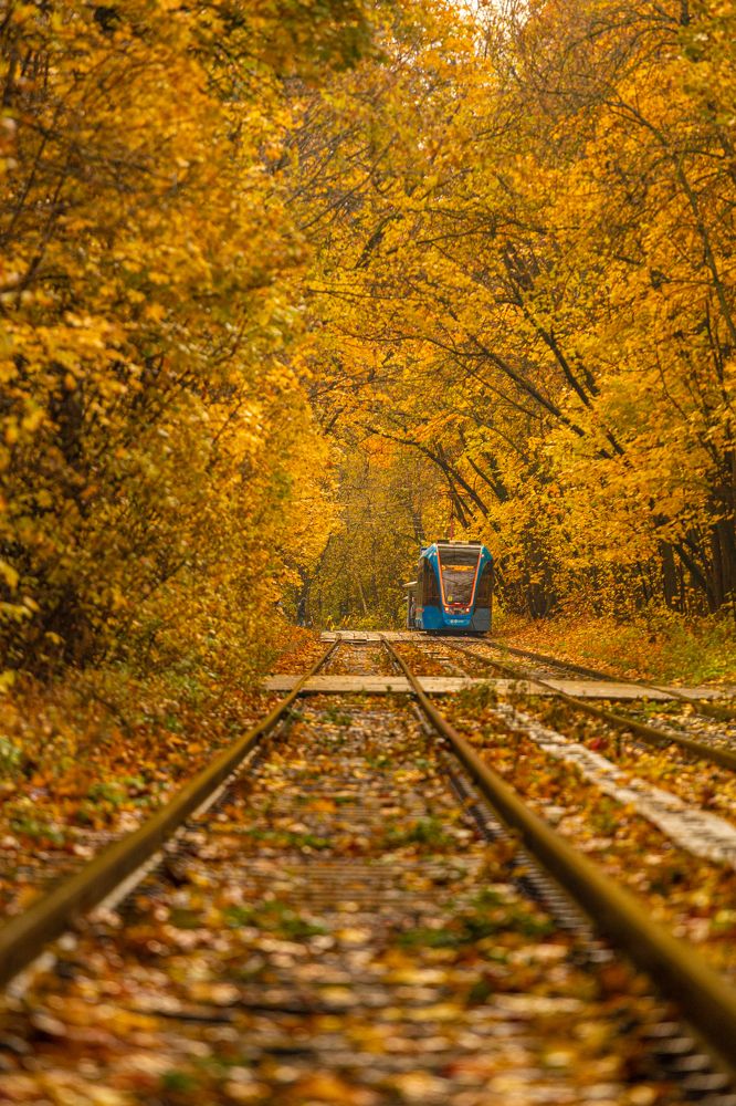 Photograph by Дмитрий Ефимов