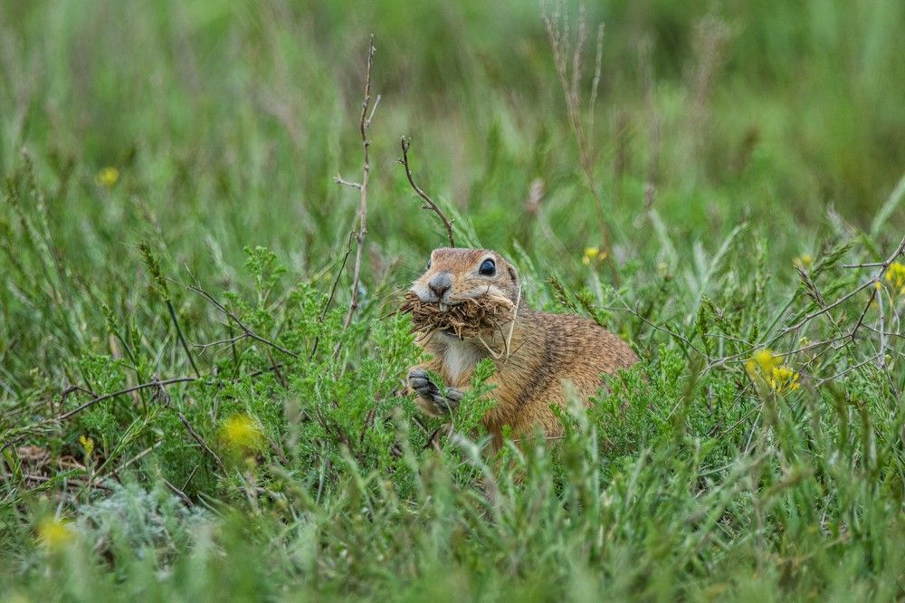 Photograph by Анастасия Григорян