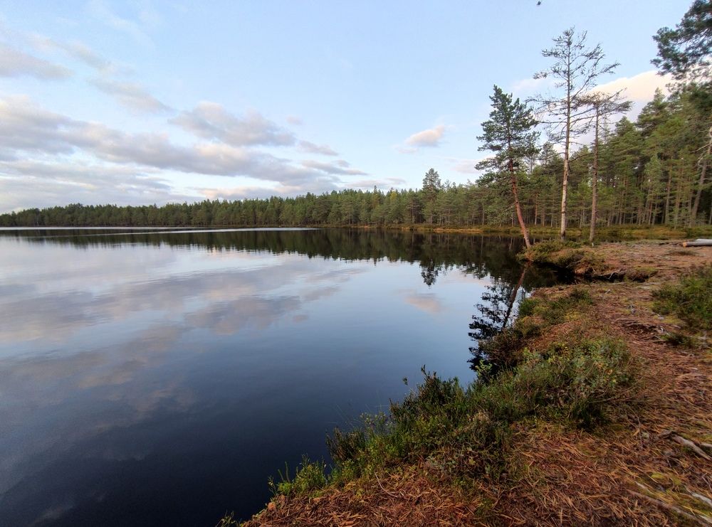 Photograph by Дмитрий Шарый