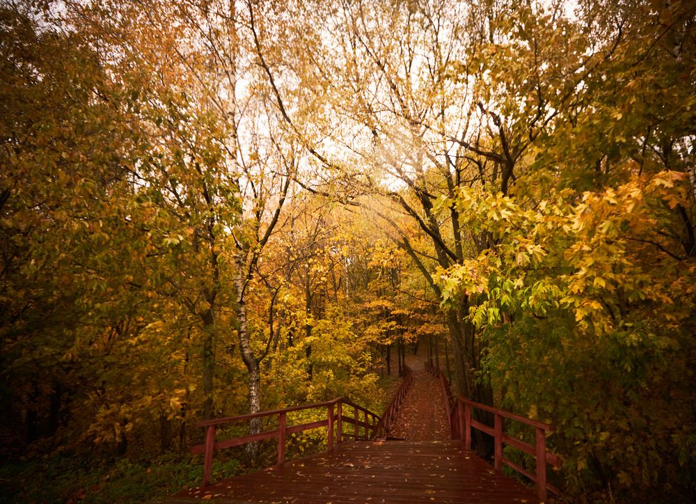 Photograph by Inna Tatarchenko