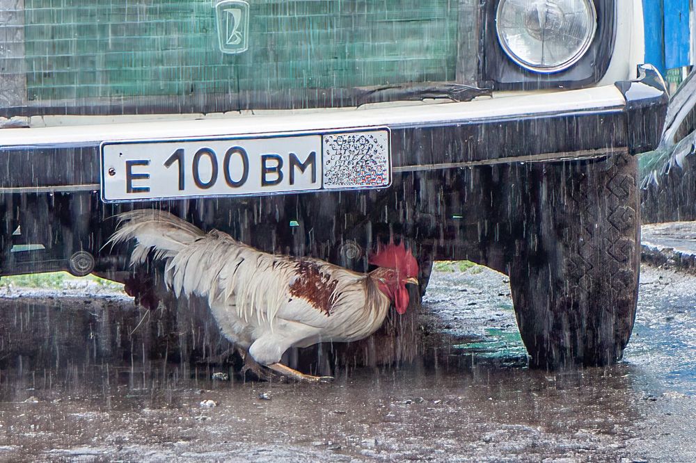 Photograph by Юрий Спасенников