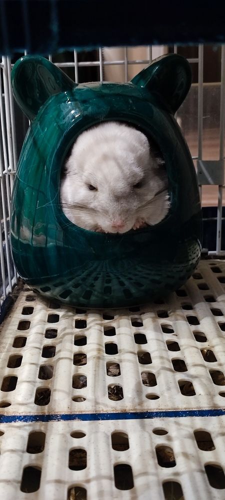 Photograph by DARIA DEMINA