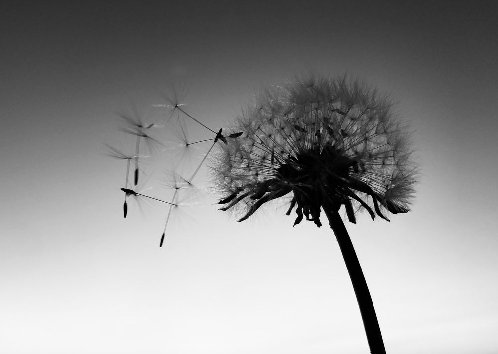 Photograph by Елена Шведова