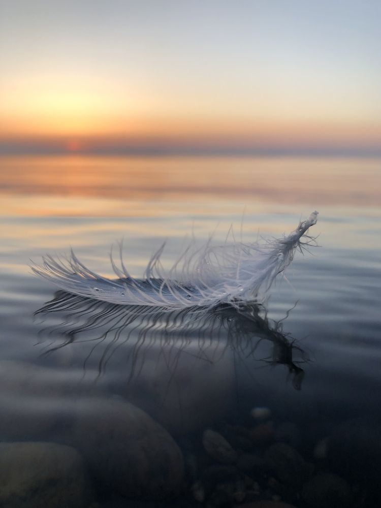 Photograph by Елена Шведова