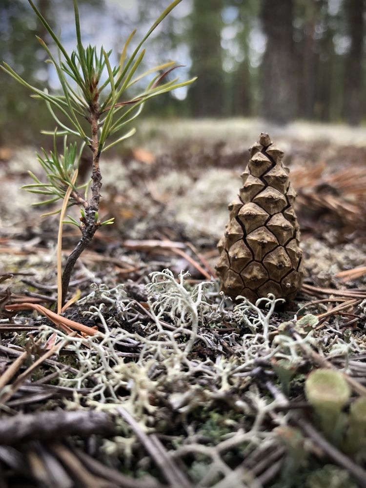 Photograph by Елена Шведова