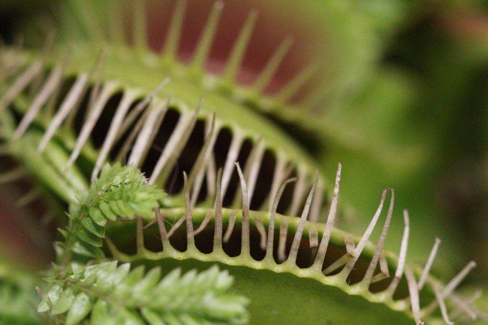 Photograph by Андрей Головин