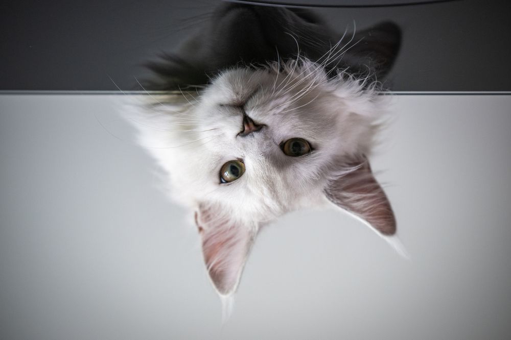 Фотография автора Rok Štirn