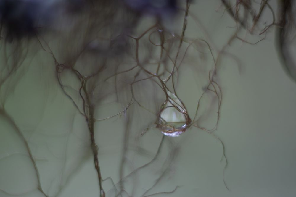 Photograph by Анастасия Григорян