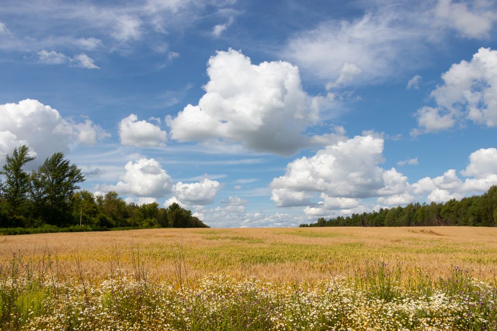 Photograph by Татьяна Новикова