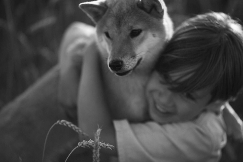 Photograph by Наталья Парфенова