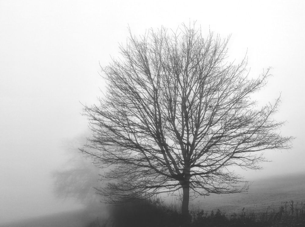 Photograph by An First