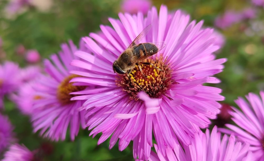 Photograph by Валентина