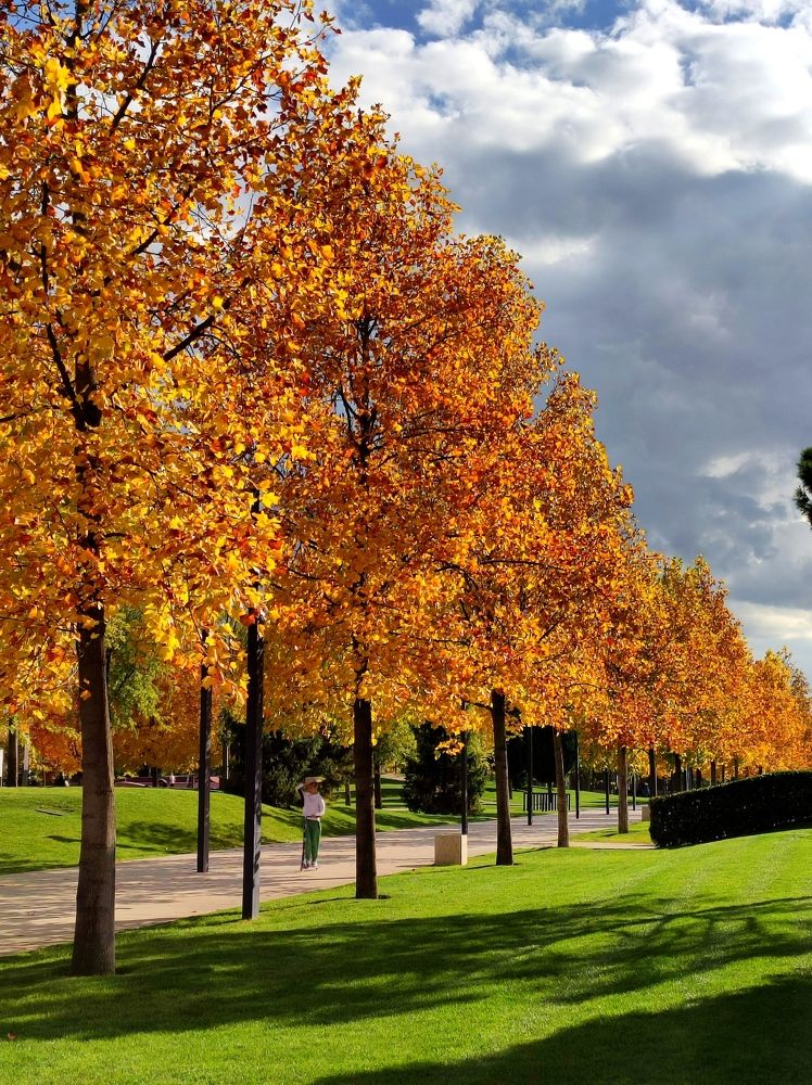 Photograph by Надежда Батракова