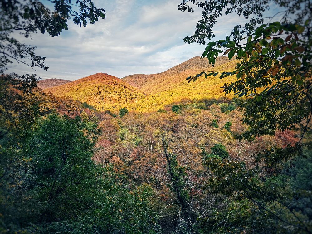 Photograph by Серафима Силина