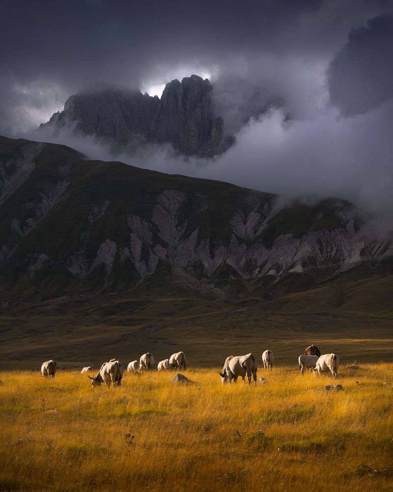 Photograph by Francesco Adorni