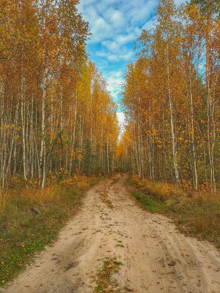 Photograph by Татьяна Сурова