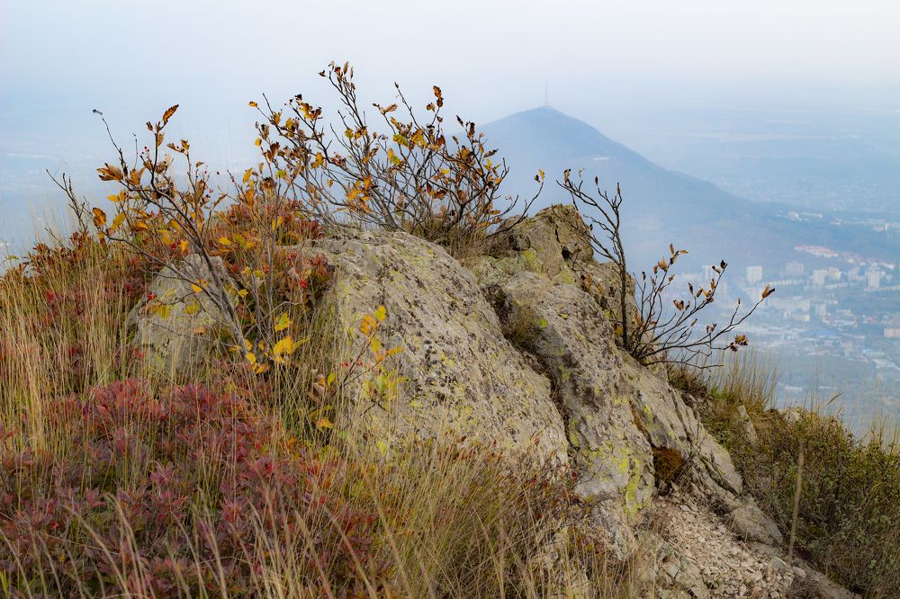 Photograph by Евгений Широких