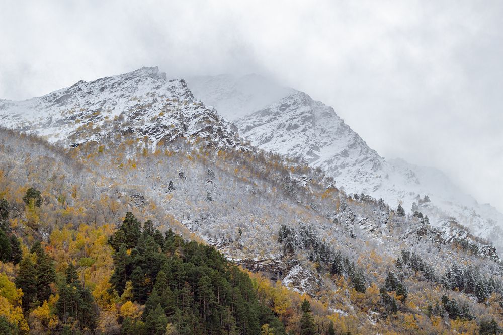 Photograph by Евгений Широких