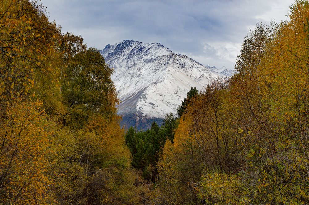 Photograph by Евгений Широких