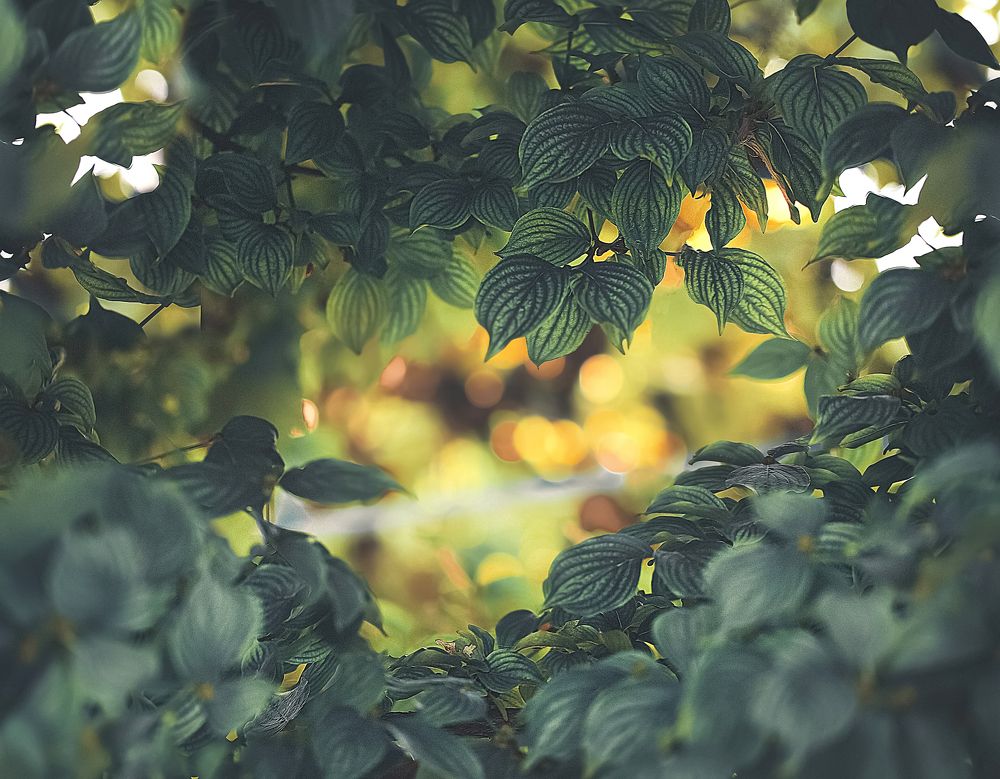 Photograph by Алена Полетаева