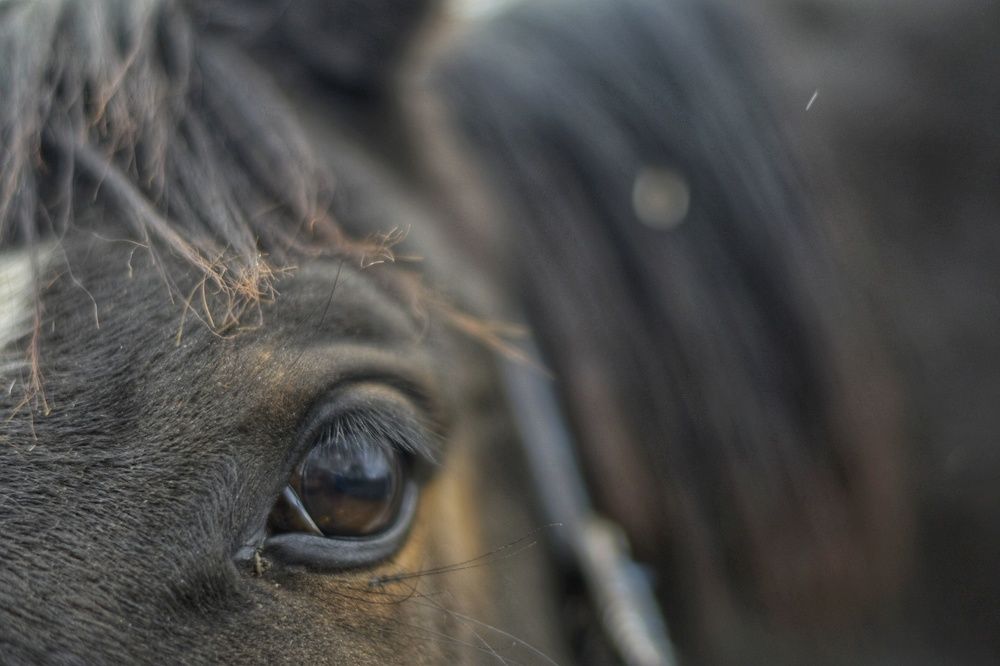 Photograph by Елена Ермакова