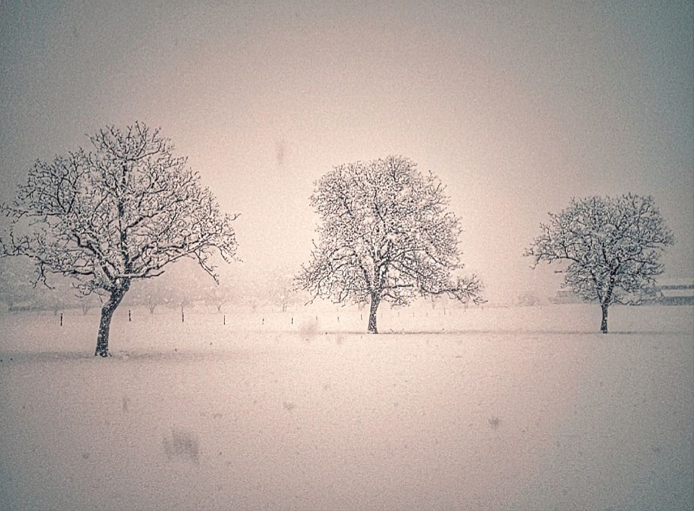 Photograph by Catherine