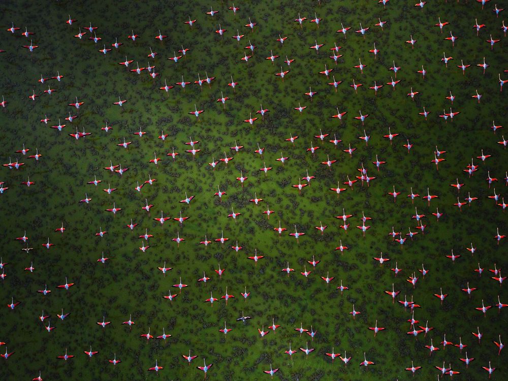 Photograph by mehdi mohebi pour